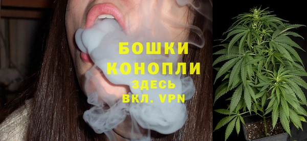 тгк Козельск