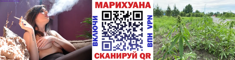 сколько стоит  Новоуральск  Канабис сатива 